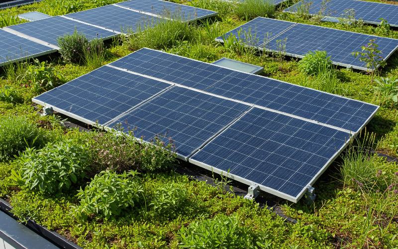 Un guide pour accompagner le déploiement des toitures biosolaires en France - Batiweb