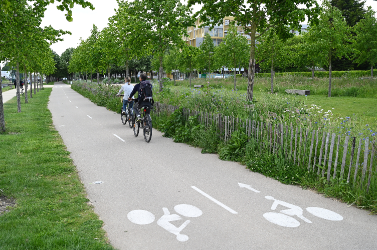 Les villes prêtes à se mettre « au service de la transition écologique » - Batiweb