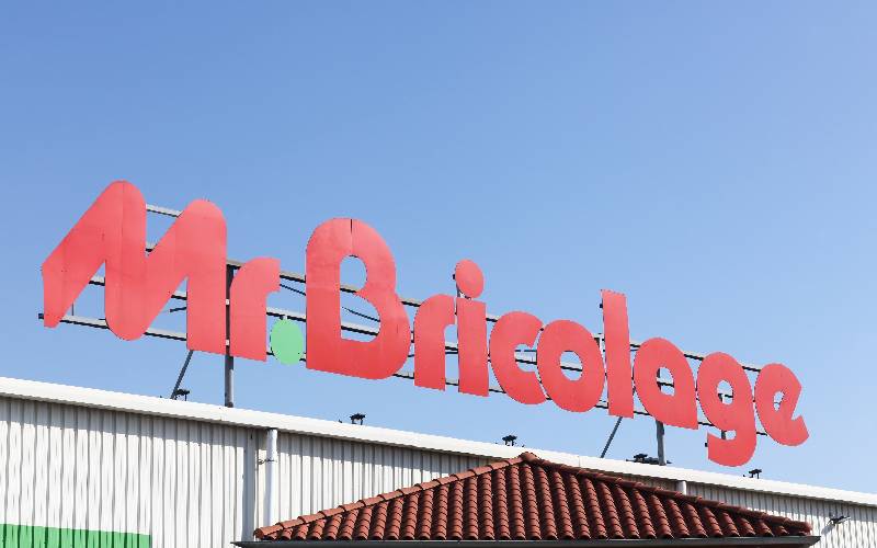 Bénéfice en forte baisse pour Mr Bricolage dans un marché sous pression - Batiweb