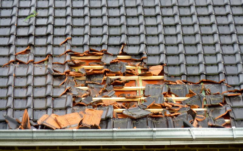 © Adobe Stock - Batiweb