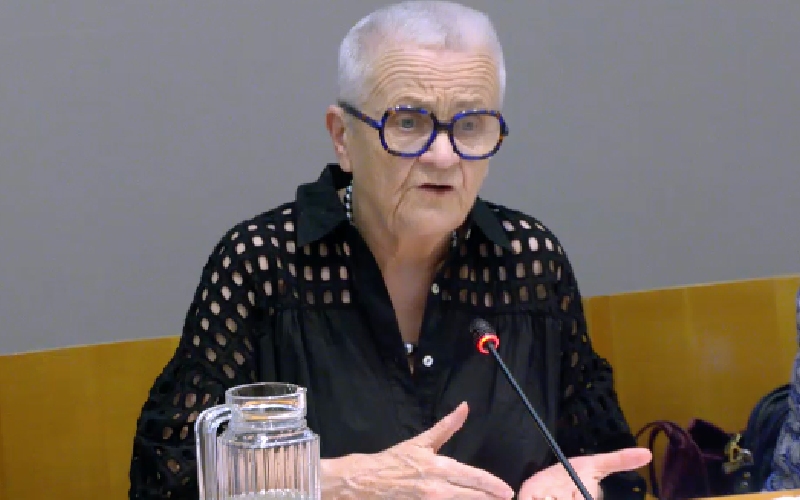 Françoise Gatel, ministre de ministre de l’Aménagement du territoire et de la Décentralisation lors d'une audience au Sénat sur l'agentification - ©Sénat - Batiweb