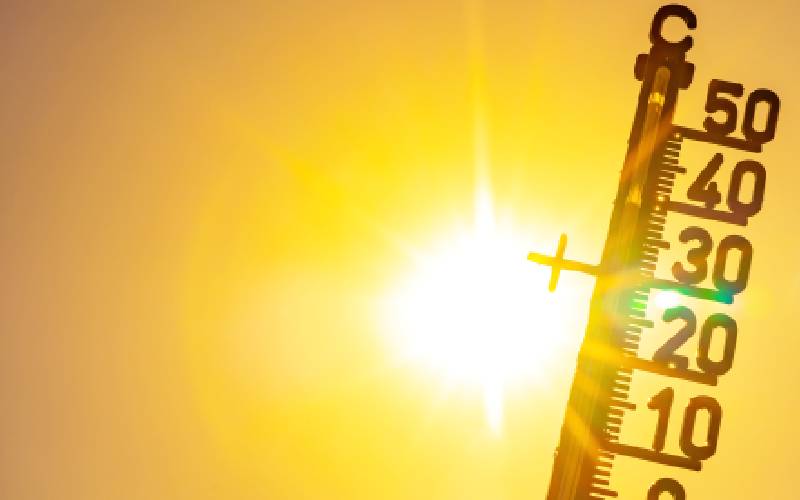Canicule : la France doit investir massivement pour s’adapter au climat - Batiweb