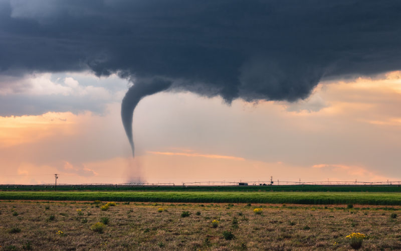 Tornade dans l'Aude : environ 300 habitations touchées - Batiweb