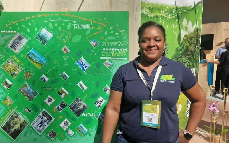 Plongée dans le paysage constructif et urbain de la Guyane - Batiweb