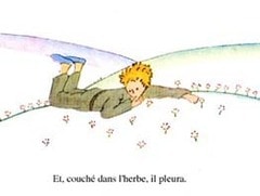 Le désert - Batiweb