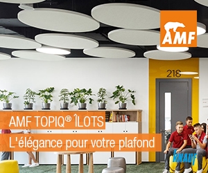 Knauf AMF_Ilots Topiq_Avril19