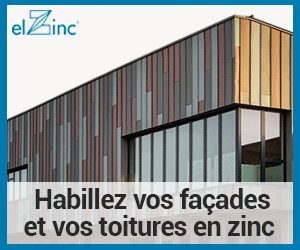 Elzinc- fevrier 2020