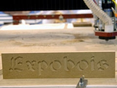 L'actualité tient salon sur EXPOBOIS 2008 - Batiweb