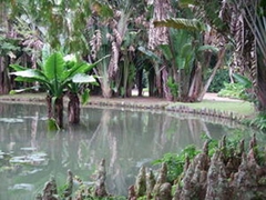 Le Jardin Botanique de Rio se dote d'un musée de l'Environnement pour ses 200 ans - Batiweb