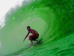 Surfer sur la vague verte de l'ecolo ! - Batiweb