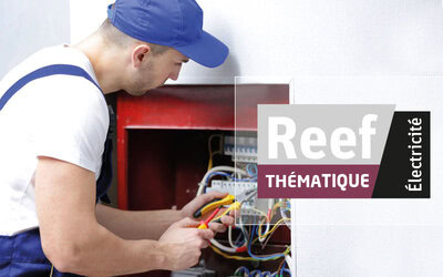 Thématique en ligne Installations électriques