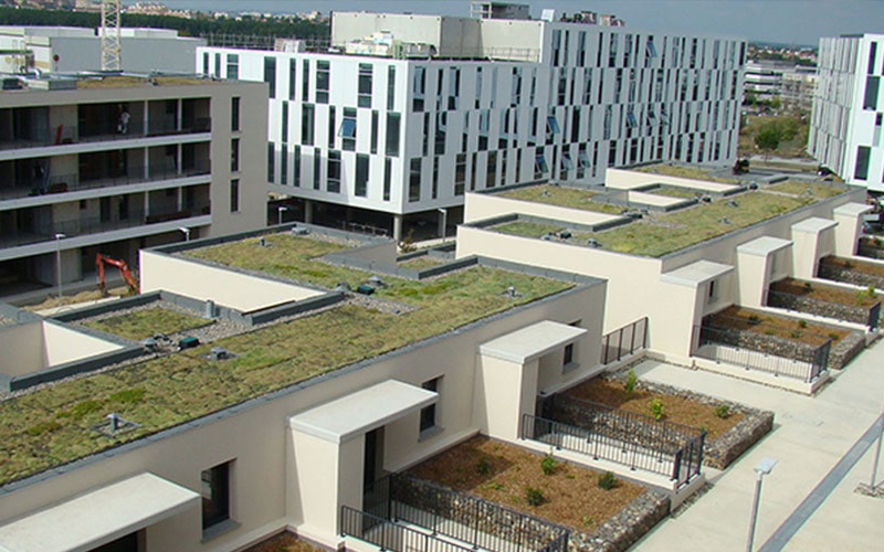 Systèmes pour toitures végétalisées : IKO SEMPERVIVUM - Batiweb
