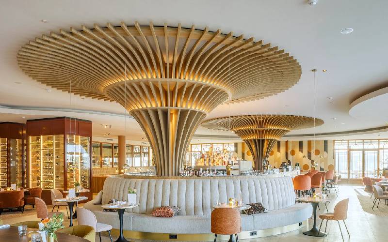 Plafond monolithique acoustique ELEGANZA - Batiweb