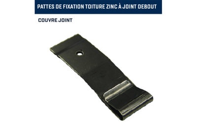 Fixation zinc