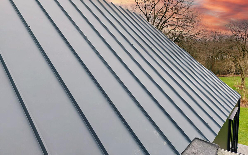 Panneau sandwich de toiture aspect joint debout : JI Vieo Roof 1050 - Batiweb