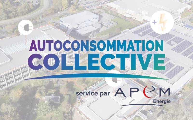 Gestion administrative et organisation d'Autoconsommation Collective - Batiweb