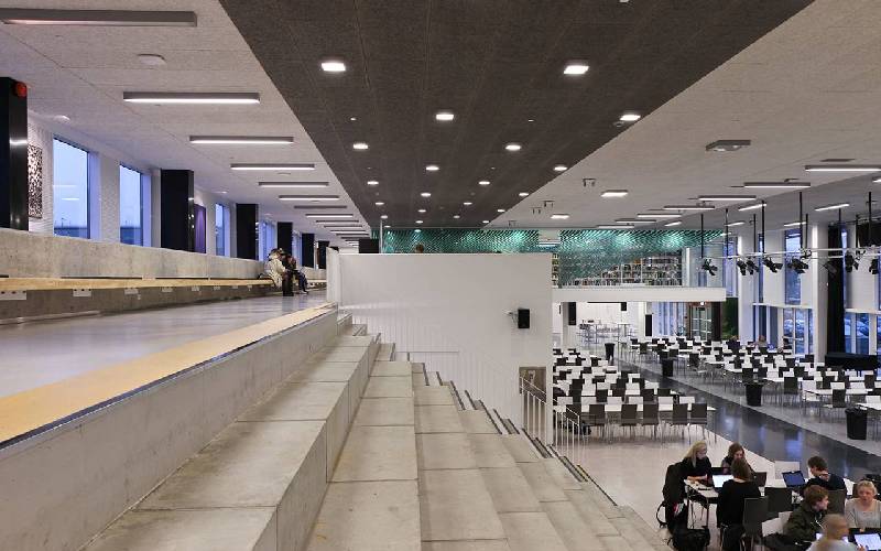 Sonvika Performance Plafond - Batiweb