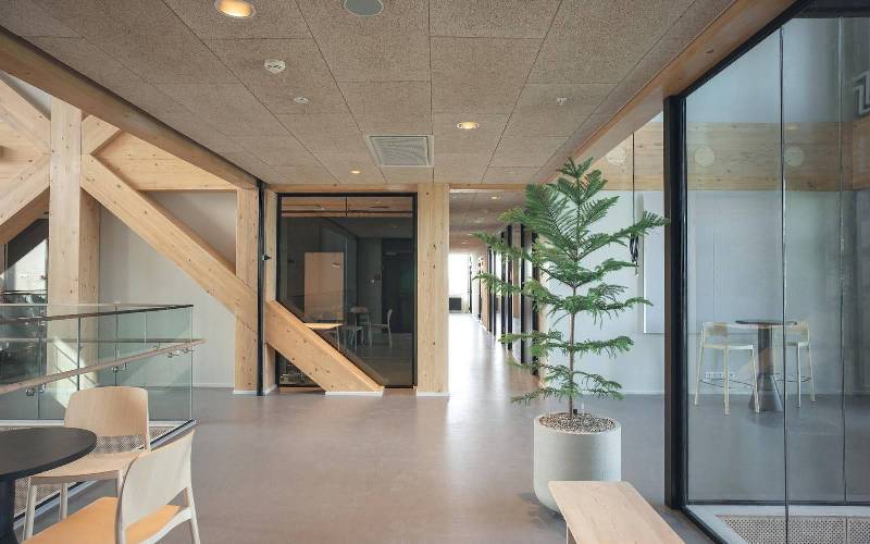 Sonvika Optima Plafond - Batiweb