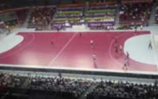 Des sols MADE IN FRANCE pour les championnats du monde de handball masculin au Qatar - Batiweb