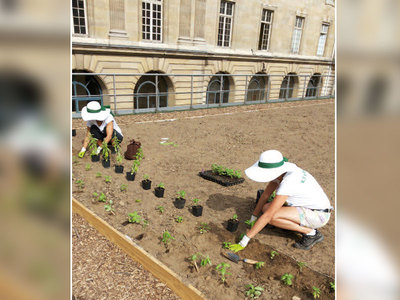 L’écologie éclot sur les toits de Paris Batiweb L’écologie éclot sur les toits de Paris Batiweb
