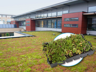 Canopia Jardibac, le bac précultivé pour les toitures-terrasses...