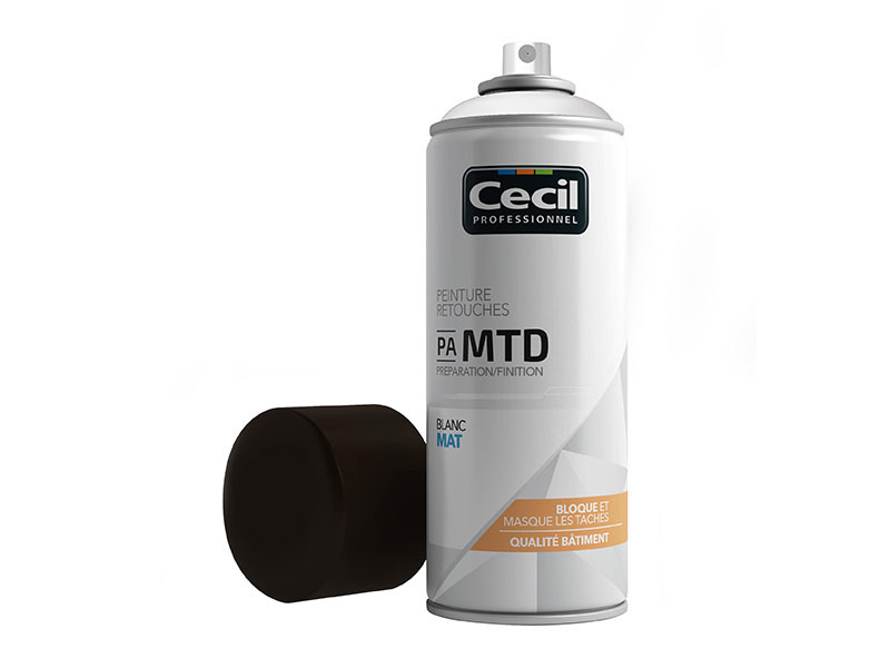 Solutions pour rénover des murs tachés par la moisissure ou l'humidité : peinture en aérosol PA MTD, impression IP TD et peinture PE MTE - Batiweb