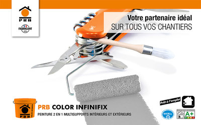 PRB COLOR INFINIFIX : peinture 2 en 1 multisupports...