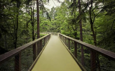 Le développement durable selon Forbo Flooring : des...