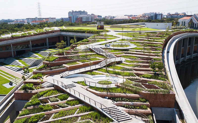 La plus grande ferme urbaine d'Asie, en Thaïlande, choisit la membrane ULTRAPLY™ TPO pour l'étanchéité de sa toiture - Batiweb