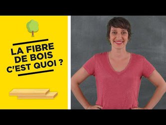 La fibre de bois : qu’est-ce que c’est ?