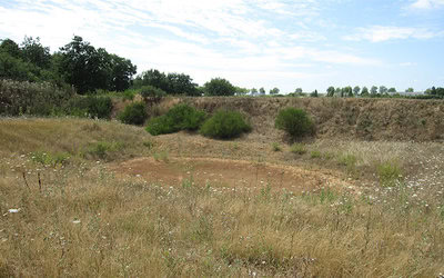 Quarry Life Award : Heidelberg Materials...