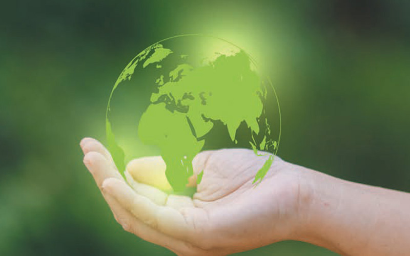 JELD-WEN formalise sa démarche environnementale avec son passeport environnement - Batiweb