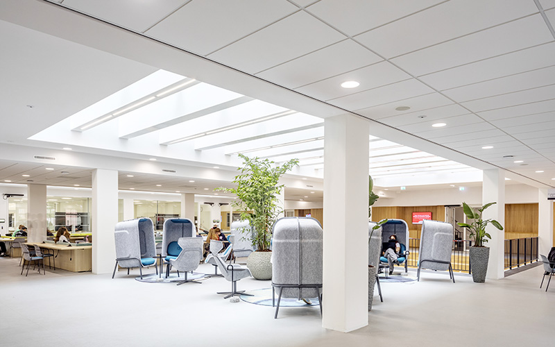 Knauf Ceiling Solutions lance ELEGANZA, un plafond minéral à finition monolithique - Batiweb