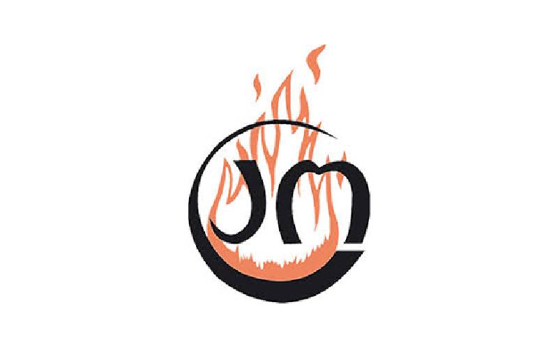 CHEMINÉES MAGNAN - Batiweb