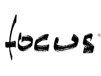 CHEMINEES FOCUS