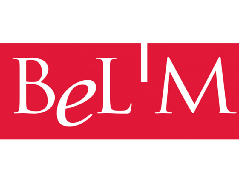 https://img.batiweb.com/repo-images/supplier/4604/belm-logo.jpg