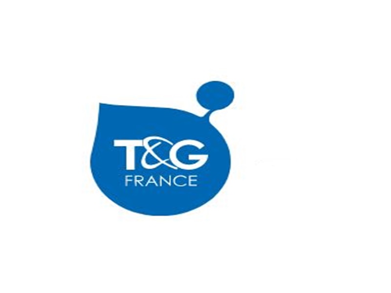 T&G France - Batiweb