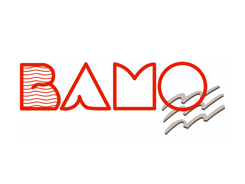BAMO MESURES SAS - Batiweb